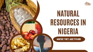 Natural Resources in Nigeria || Where They Are Found || Uses of Natural Resources in Nigeria.
