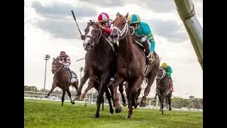 Mervin H. Muniz Jr.  Memorial Handicap (G2) 2019