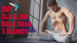 DMT Alkaline Breathing - 3 Rounds (Hummingbird Edition)