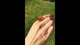 ✨ Baltic Amber Ring | Resizable Oval 925 Sterling Silver | Elegant & Unique Gemstone Jewelry ✨