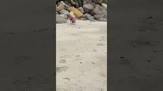 Malibu Beach