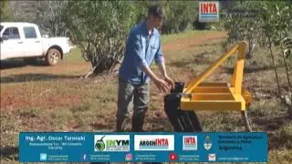 Yerba mate interplantacion apoyo de PATEPY. INTA Tecnología en Acción. Junio 2020.