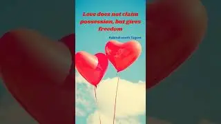 Love / No Lie/  Need Freedom /Love should be selfless /#Love / #Quotes /#Shorts