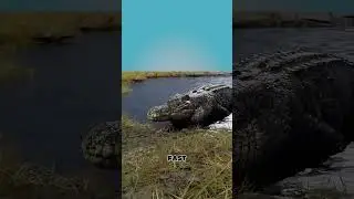 Это изменит ваше восприятие их.