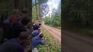 INSANEE!!   Ott Tanak   WRC Rally Poland 2024