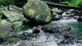 Flow of Peace - Healing River Soundscape | sleep - relax - enjoy life - ASMR