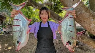 Amazing Stir Fried Big Fishes With Ginger Recipe In my Countryside