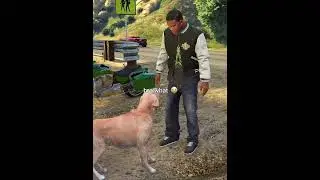 Dawgs understand dawgs 😤 // #GTA5
