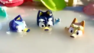 Bingo & Bluey beach adventure