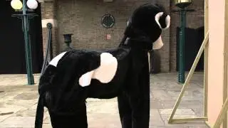 RuneFest 2013 Cow revealed