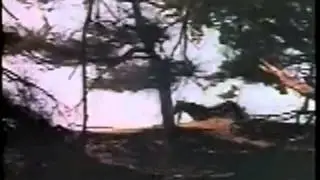 A Longa Noite de Terror (1977) Dublagem HR