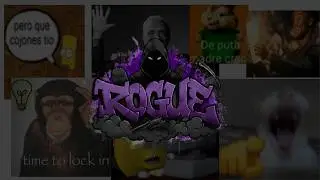 Lo que pudo ser... | ROGUE vs 22k Familyrp