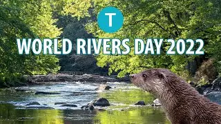 World Rivers Day 2022 | Thomson environmental consultants