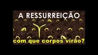 A RESSURREIÇÃO