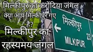 क्या आप जानते है मिल्कीपुर के इस जंगल के बारे मे? मिल्कीपुर का करोंदिया जंगल।। मिल्कीपुर।। Milkipur