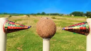 Coconut Vs Diwali Anar 🔥|  क्या नारियल बच पायेगा...?