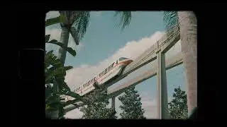 Walking Path Between Disney's Polynesian & Grand Floridian Resorts | Walt Disney World 2022