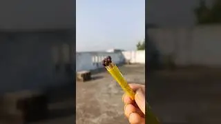 Diwali machis cracker experiment 😱