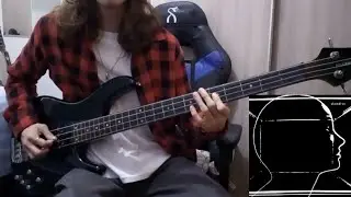 Slowdive - Sugar For The Pill (Bass cover)