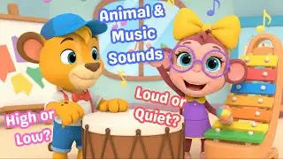 What's That Sound? 👂 | Loud, Quiet, Animal & Instrument Sounds! (The Know-It Kids)