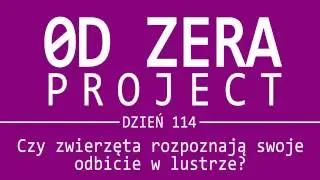 Czy zwierzęta rozpoznają swoje odbicie w lustrze? (test lustra) | 0D ZERA #114
