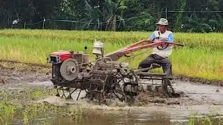 TRAKTOR CIREBON MEMBAJAK TANAH SAWAH DENGAN GLEBEK PUTAR JOKI TEGU