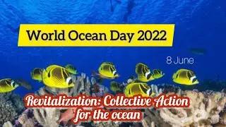 World Oceans Day 2022 Theme | World Ocean Day Activities -  10 Lines On World Oceans Day