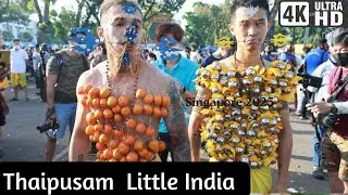 Thaipusam festival Singapore 2023 | A Walk with Kavadi | Little India 🇸🇬 | #thaipusam #murugantemple