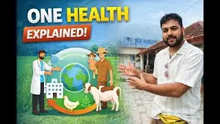 One Health  Connected Survival-🌍 One Health Explained | Humans, Animals & Environment &ndash; End-to-End
