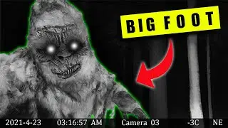 We got ATTACKED by BIG FOOT Inside our own CABIN! We are not safe here anymore....