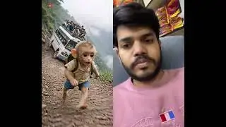 Monkey help #monkeysr #sad #monkey #travel #love #cute