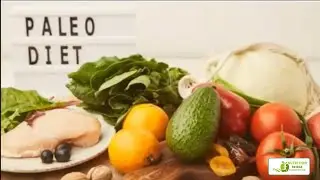 The Paleo Diet: A Beginner&rsquo;s Guide With Meal Plans