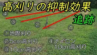草刈りの高刈り、比べて追跡。驚く結果！！！