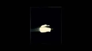 VOLK - Boreal