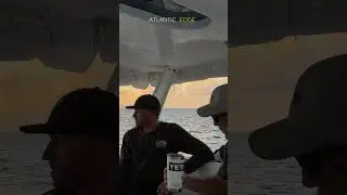 Sunset and beer - perfect end to a shark diving trip