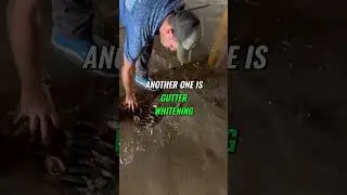 5 Easy Pressure Washing Upsells You're Missing!