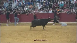 Zaragoza &ndash; Ma&ntilde;ana vaquillera 12/10/2025 &ndash; N&ordm;22/Colilla &ndash; 