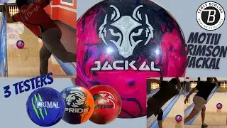 Motiv Crimson Jackal vs Raptor Fury, Pride Dynasty, Primal Shock - 3 testers