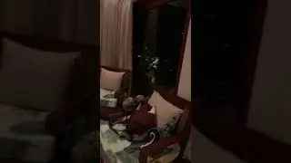 Bosque Del Mar Hotel Costa Rica Room Tour