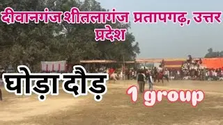 DIWANGANJ SHEETLAGANJ PRATAPGARAH GHODA RACE 1 GROUP #horse #horseracing 