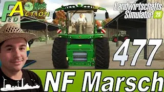 LS25 🚜 477 NF Marsch 4fach Schnell Geld verdienen Konto war fast leer #landwirtschaftssimulator25