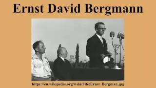 Ernst David Bergmann