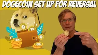 Dogecoin Set Up For Reversal