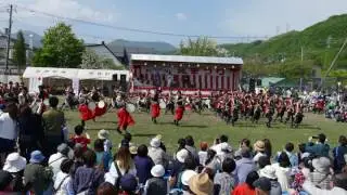 室蘭百花繚蘭　2016年　鷲別川沿い桜まつり１日目