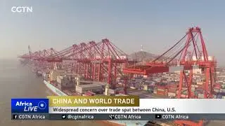 Chinese government publishes white paper on trade systems