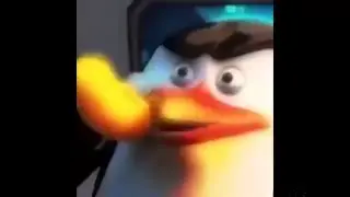 Clean Memes that are Cleaner than your Laundry Basket