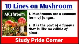 10 Lines on Mushroom | Few Lines on Mushroom in English | StudyPrideCorner