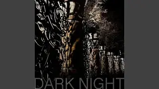 DARK NIGHT