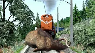 Crazy Elephant stops the Train and escapes Indian Railways in Indian Train Simulator