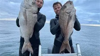 Wettie TV | SPEARFISHING BIG SNAPPER | Winter New Zealand